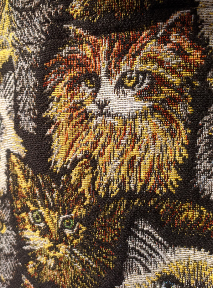 Cats